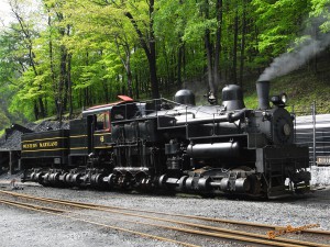 アメリカ型鉄道模型_shay